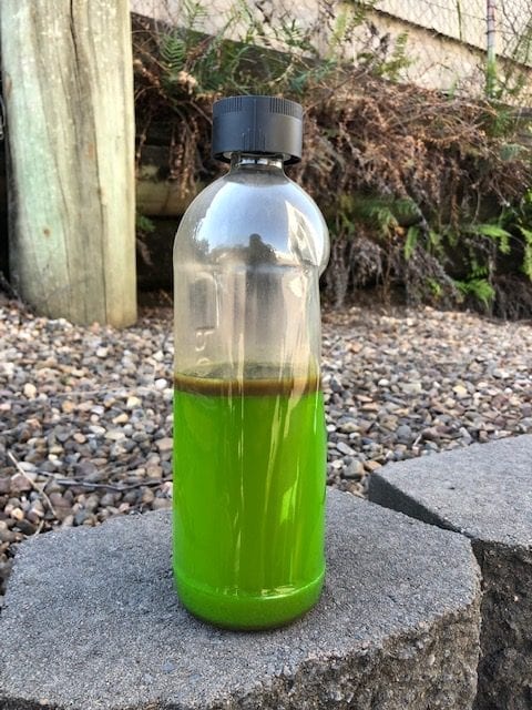 Contaminated coolant flushed from a radiator