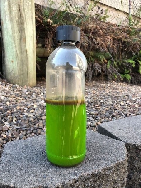 subaru coolant flush cost