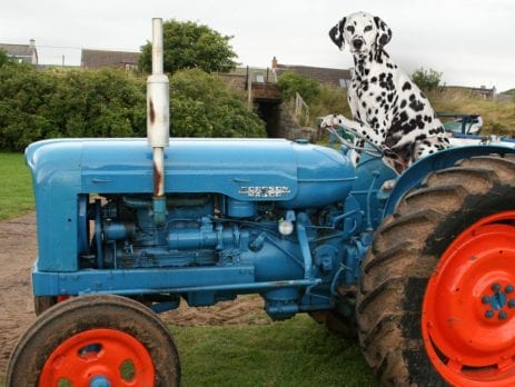 cleans DPF filters, cleans turbos, deglazes engines