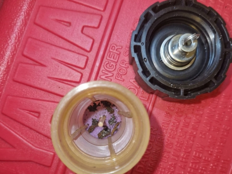 Dirty Unleaded Fuel - Varnish caught in pre tank filter