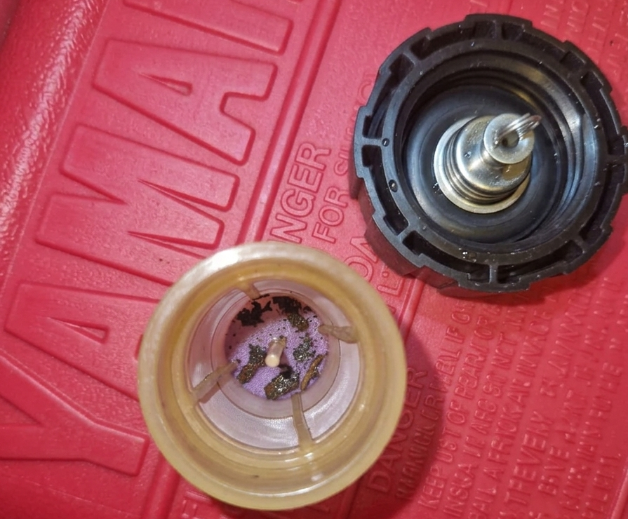 Dirty Unleaded Fuel - Varnish caught in pre tank filter